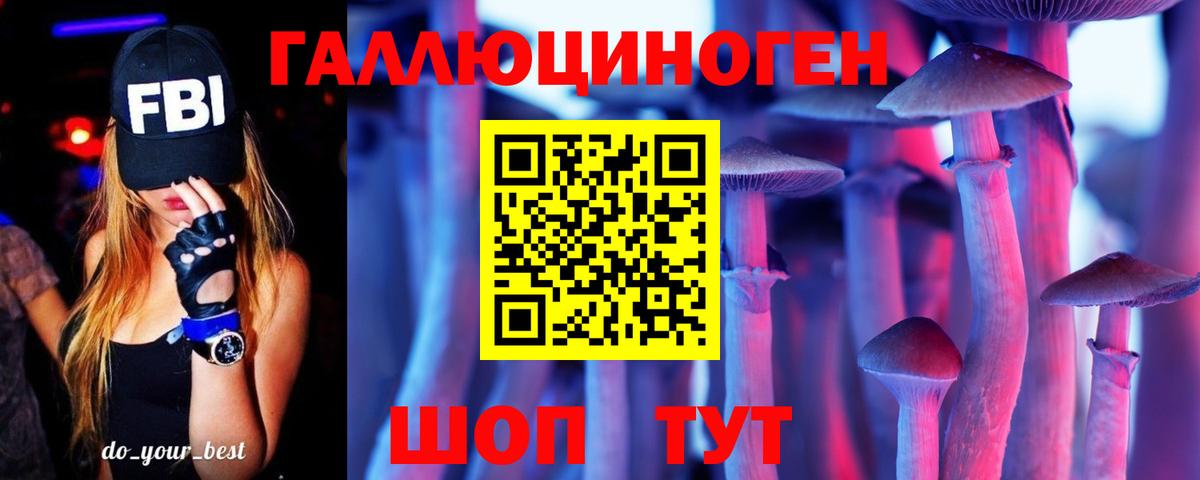 закладка  Псилоцибиновые грибы ЛСД  Вход с VPN  Каменск-Шахтинский 